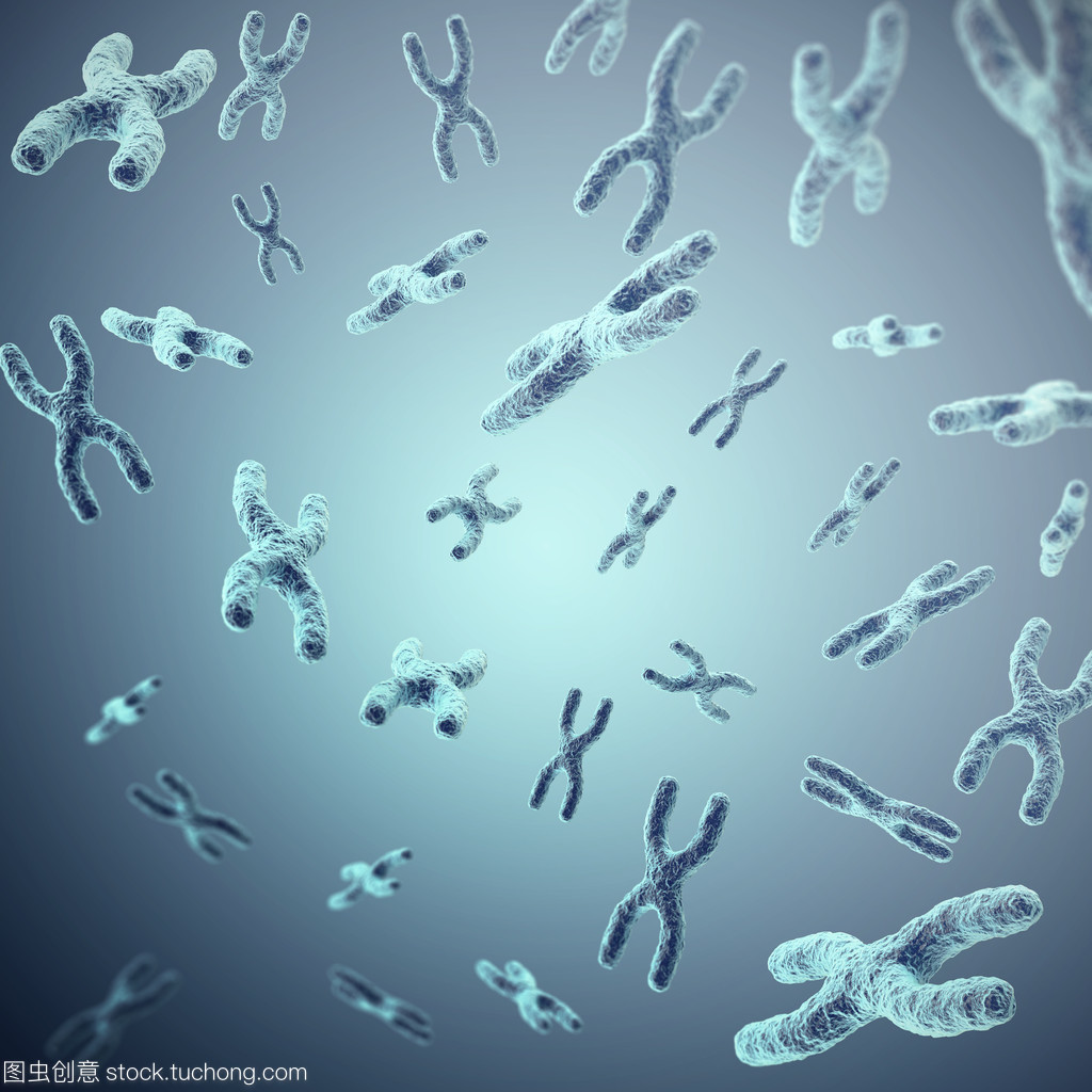 灰幕下的生命密碼 X染色體與遺傳奧秘的生物學(xué)探索