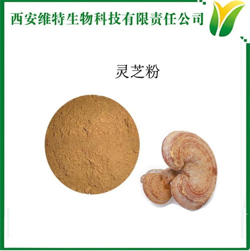 靈芝提取物與靈芝粉 維特生物的技術(shù)優(yōu)勢(shì)與應(yīng)用前景